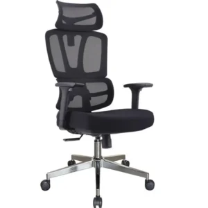 Ghế Công Thái Học GLE01