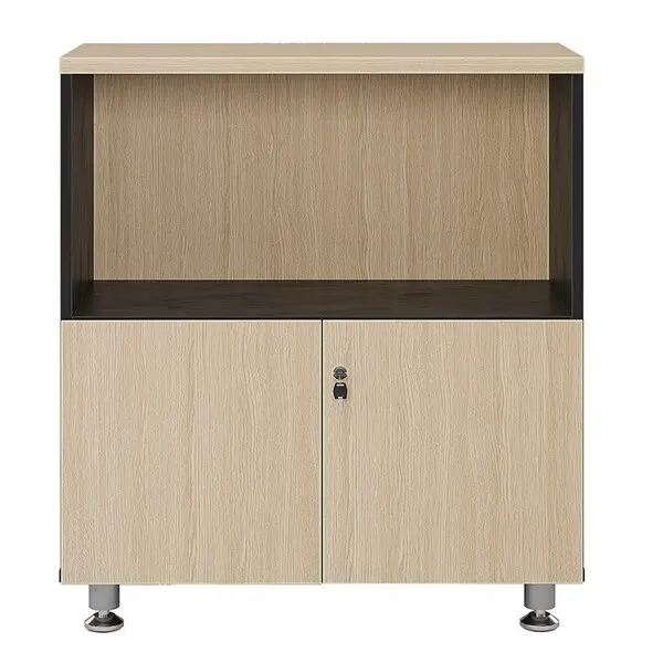 Tủ Tài Liệu Leader LE880SD thiết kế hiện đại với 2 cánh mở - Ảnh 3