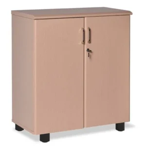 Tủ Tài Liệu Newtrend NT880DN trẻ trung có 2 cánh mở dài